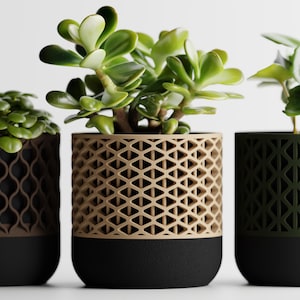 Peut inclure: Trois plantes en pot avec des feuilles vertes. Les pots présentent des motifs géométriques bruns, beiges et verts, avec des bases noires. Les plantes sont disposées sur un fond blanc.