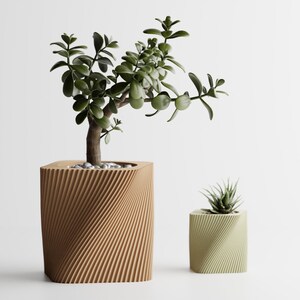 Puede incluir: Dos plantas en macetas en macetas geométricas únicas. La maceta más grande es marrón y tiene un diseño en espiral. La maceta más pequeña es verde y tiene un diseño en espiral similar. Ambas plantas son verdes y frondosas.
