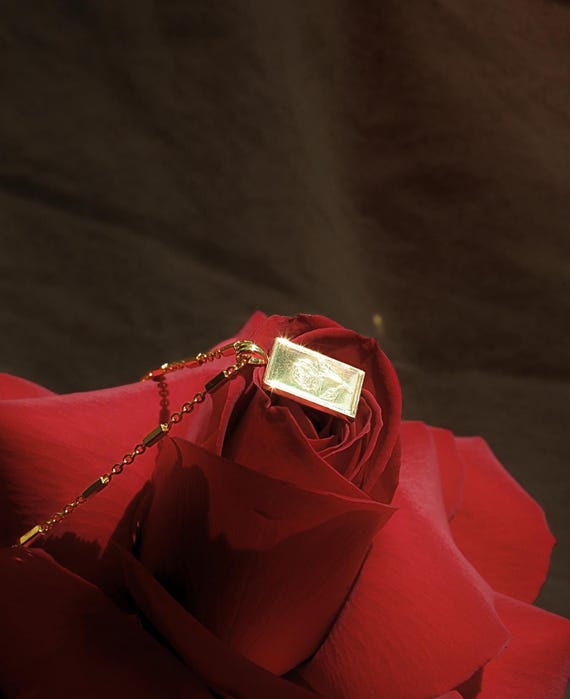 June Rose Birth Flower Pendant / 14k Gold Chain Necklaces / Cat Eye Birth Stone Charm by Sachelle Collective