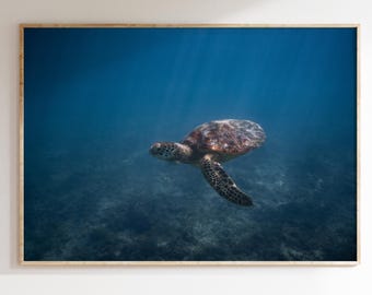 Hawaiian Serenity, Turtle Beneath the Waves Wall Art