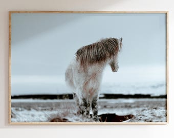 Eleganza nordica, stampa artistica di cavallo islandese in inverno
