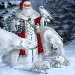 5D Diamond Painting Kits | Santa Clause in White| 12&quot; x 16&quot; | DIY 5D Diamond Art Full Drill Embroidery Painting Kit | Home Wall Art Décor