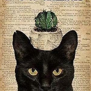 May include: A black cat with a pot on its head. The pot has a green cactus plant growing out of it. The background is a vintage book page with the text "POT HEAD" printed in large letters.