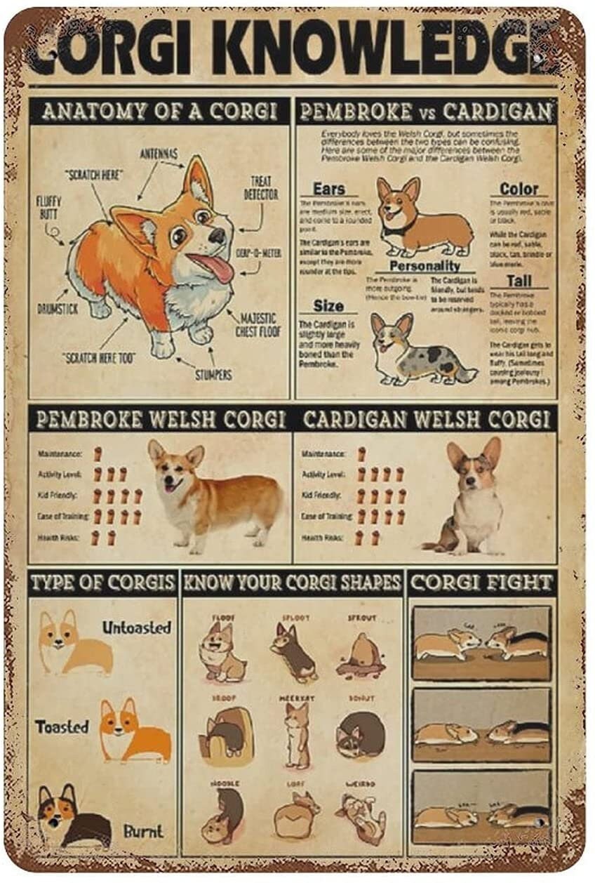 Cute Corgi Gaming' Poster, picture, metal print, paint by Michael I. Organ