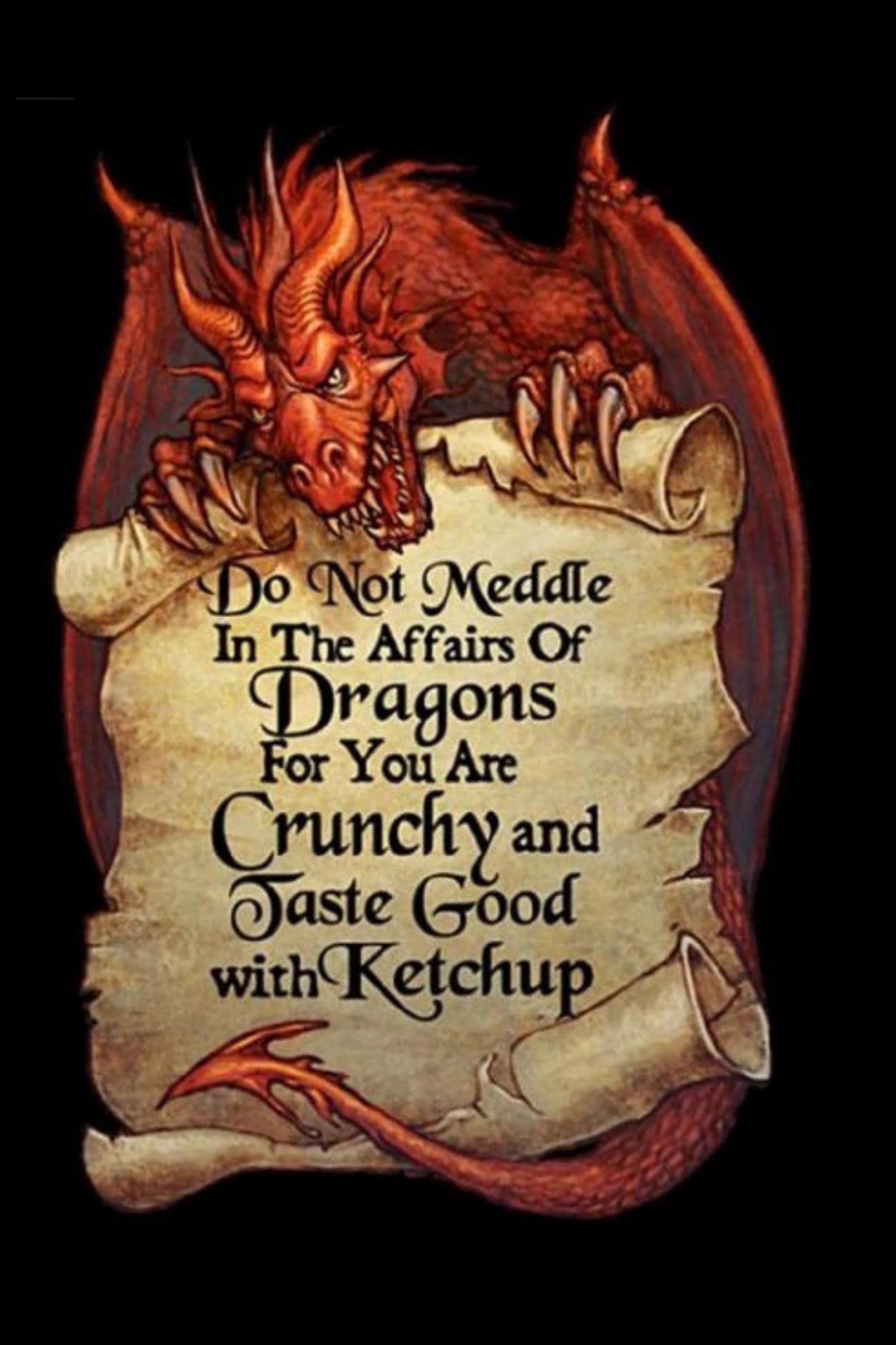 Targa In Metallo Vintage 'Dragon Not Worm' 20x30 Cm - Poster Umoristico Per Decorazione Pareti, Bar, Casa