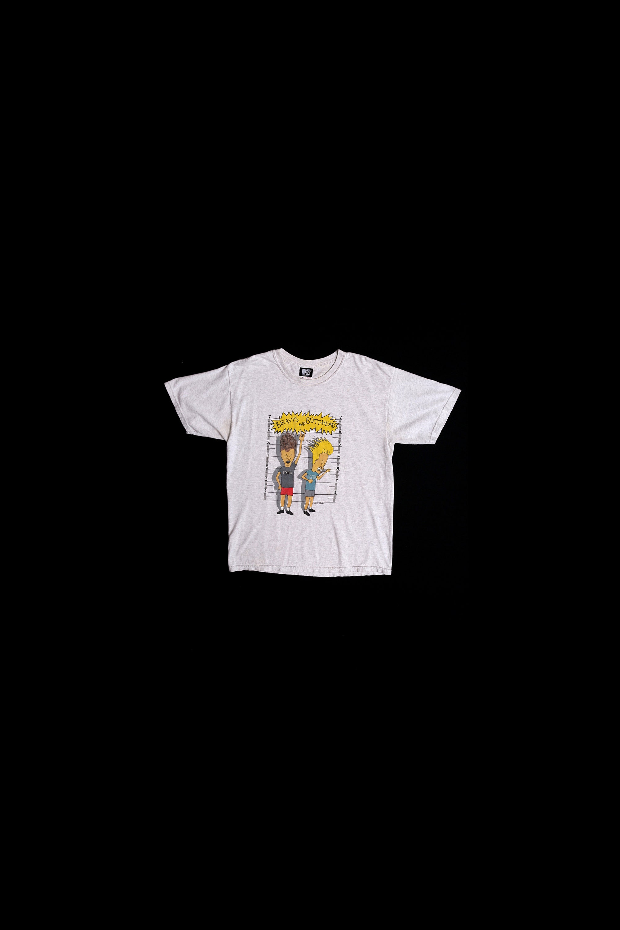 Discover Beavis and Butt-Head Gray Graphic T-shirt