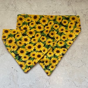 Sunflower dog bandana