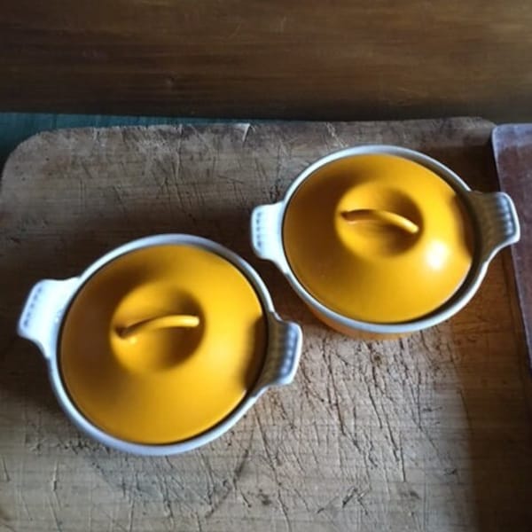 Petite cocotte Lecreuset X 2 , pot à couvercle fonte émaillé , cassolette Le Creuset, cuisine, cast iron