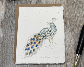 May include: A rectangular greeting card with a deckled edge featuring a watercolor illustration of a grey peacock-pheasant. The bird has detailed grey plumage with blue and gold eye-spot patterns on its tail. The text reads Grey Peacock-Pheasant.