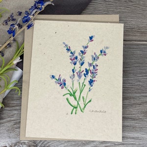 Lavender | Plantable Card | Wildflower Seed Paper | Hand drawn | Lavandula