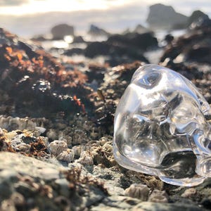 Blown Glass Shell: Abstract Melting Design Decor