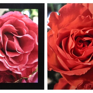 Limitado! Rosas - Cartão Fotográfico Dupla Face - Reversível