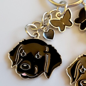 Op de afbeelding: Zwarte Labrador Retriever honden sleutelhanger met zilverkleurige accenten. De sleutelhanger heeft een zwart geëmailleerd honden gezicht, een kleine hart bedel en een vlinder bedel. Het gezicht van de hond heeft een roze tong en een zilveren omtrek.