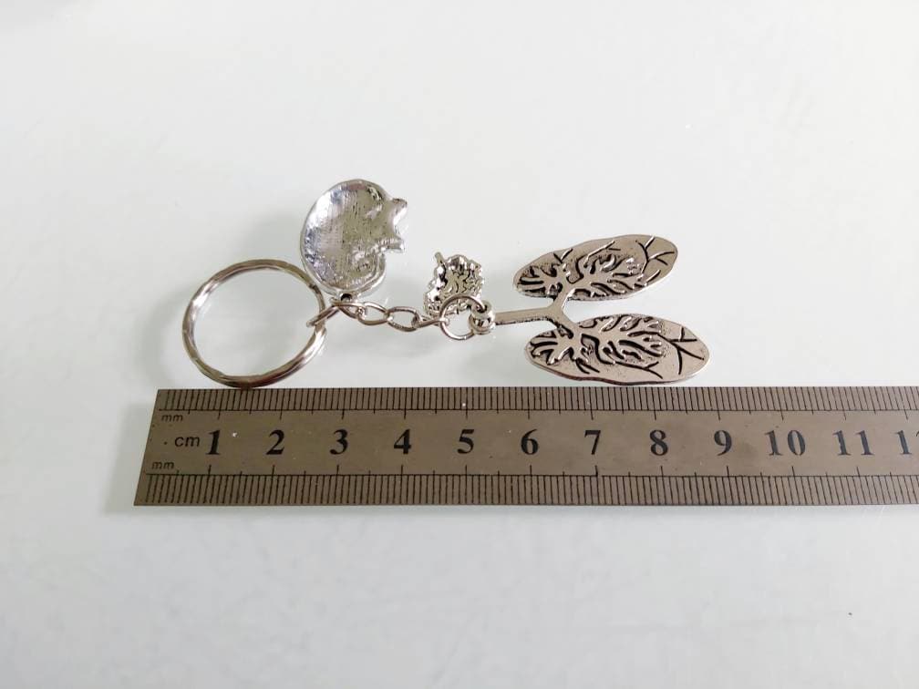 Digestive Key Ring Anatomical Organ Keyring: Lungs, Kidney, Brain Charms - Novelty Gift - Etsy