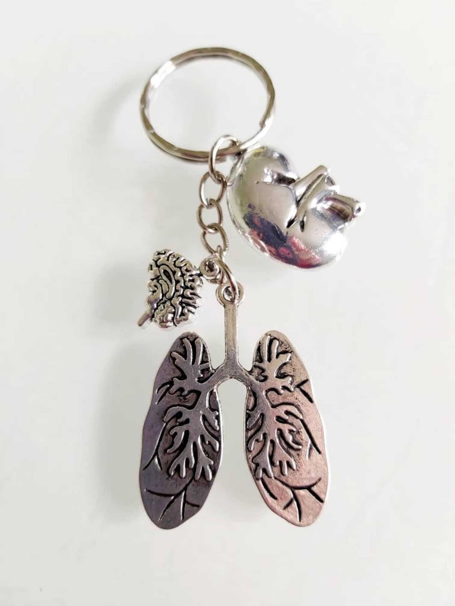 Digestive Key Ring Anatomical Organ Keyring: Lungs, Kidney, Brain Charms - Novelty Gift - Etsy