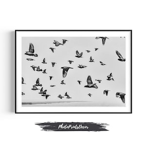 Black and White Bird Photography Print - Flock of Birds Minimalist Wall Art - Monochrome Nature Decor - Fine art photography gift
