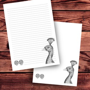 Modèle de lettre JW Paon