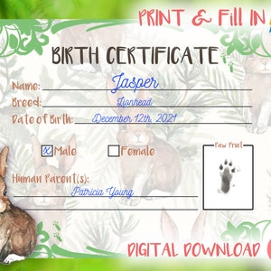 Geboorteakte konijn [afdrukbaar - afdrukken en invullen] Adopteer een konijn, geboorteakte konijn, certificaat van adoptie van huisdieren, Instant Download