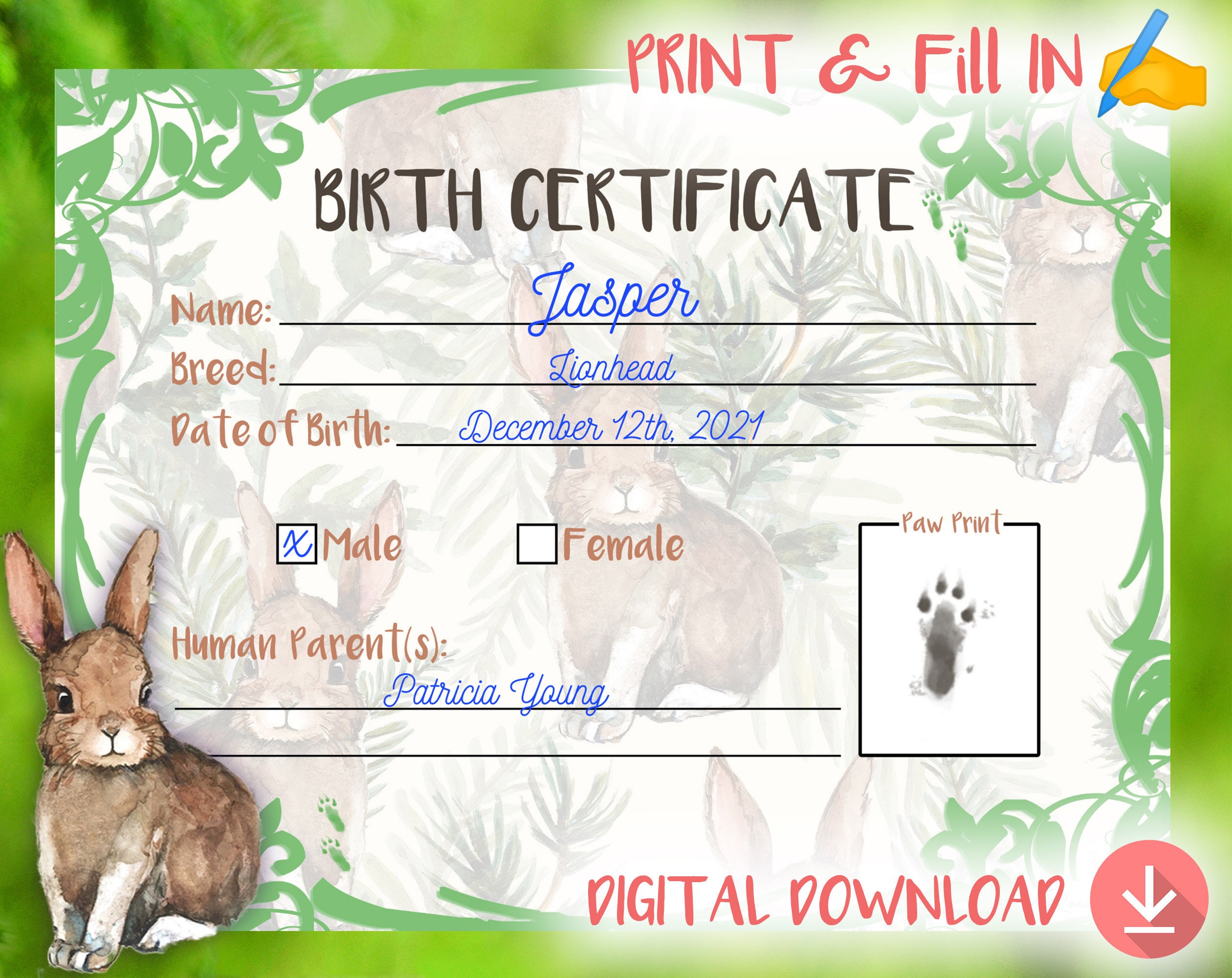 bunny-birth-certificate-printable-print-and-fill-in-adopt-etsy