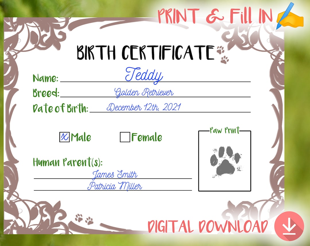 Puppy Birth Certificate [printable - Print and Fill In] New Puppy Gift ...