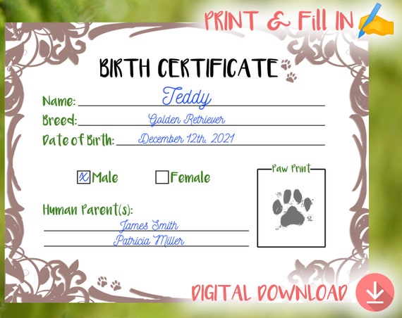 Puppy Birth Certificate printable Print and Fill In New | Etsy