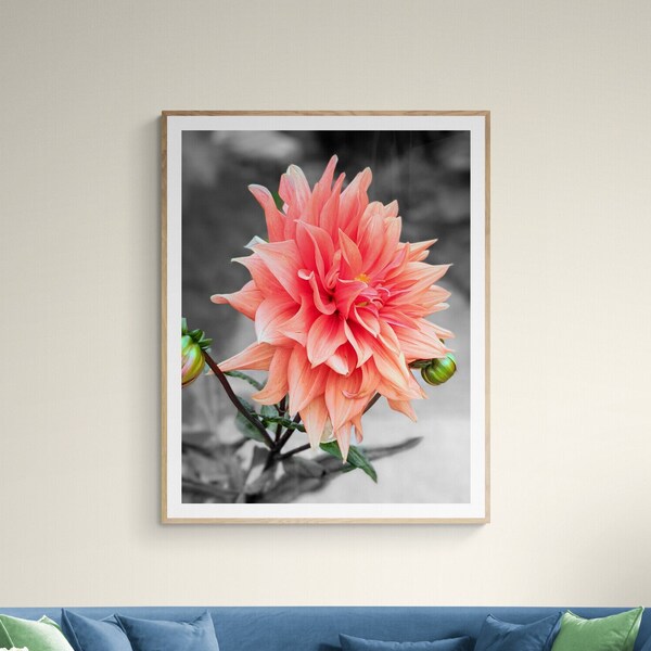 Flower Print, Nature Photography, Instant Download, Printable Flower, Pink Dahlia, Nature Wall Art, Flowers Wall Art