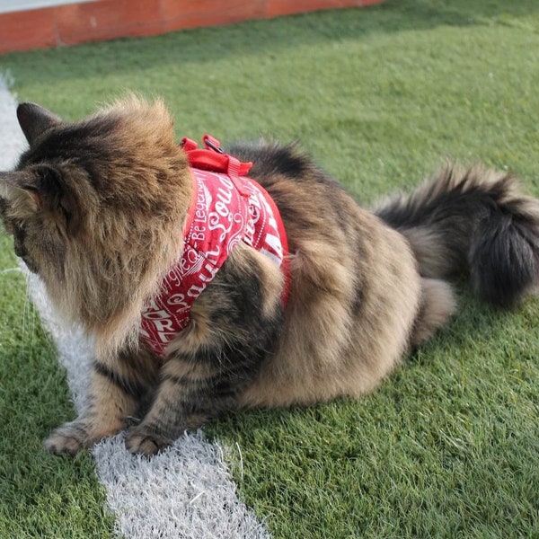 Conjunto de correa y arnés para chaleco para gatos