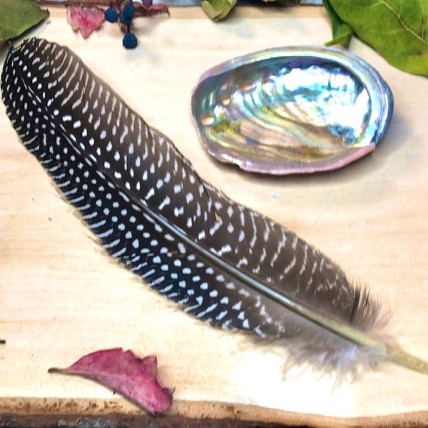 Smudge Feather, Smudging Feathers, Turkey Feather, 7-9”