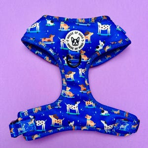 Puede incluir: Arnés azul para perros con un patrón repetido de perros en monopatines. El arnés tiene una hebilla negra y un parche circular con el logotipo de un bulldog y el texto "HOUSE OF HUGO".