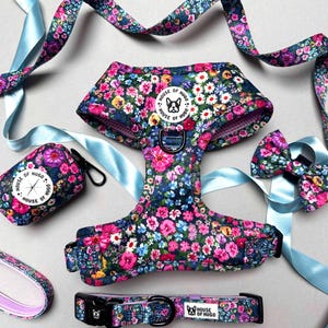 Può includere: Un set di imbracatura, guinzaglio e porta sacchetti per cani con motivo floreale. L'imbracatura e il guinzaglio sono blu navy con un motivo floreale rosa e bianco. Il porta sacchetti è blu navy con un motivo floreale bianco e il testo "House of Hugo".