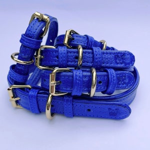 Handmade premium double padded leather dog collar in bolt blue - gold buckle - puppy collar - dog collar - frenchie - cockapoo - pet collar