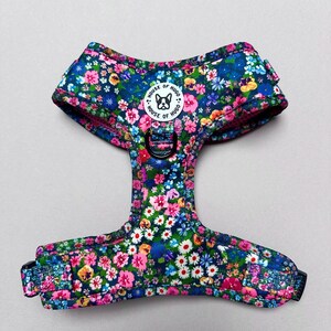 Puede incluir: Un arn&eacute;s para perro azul y rosa con estampado floral, con una hebilla negra ajustable y un logotipo circular blanco que dice "House of Hugo".