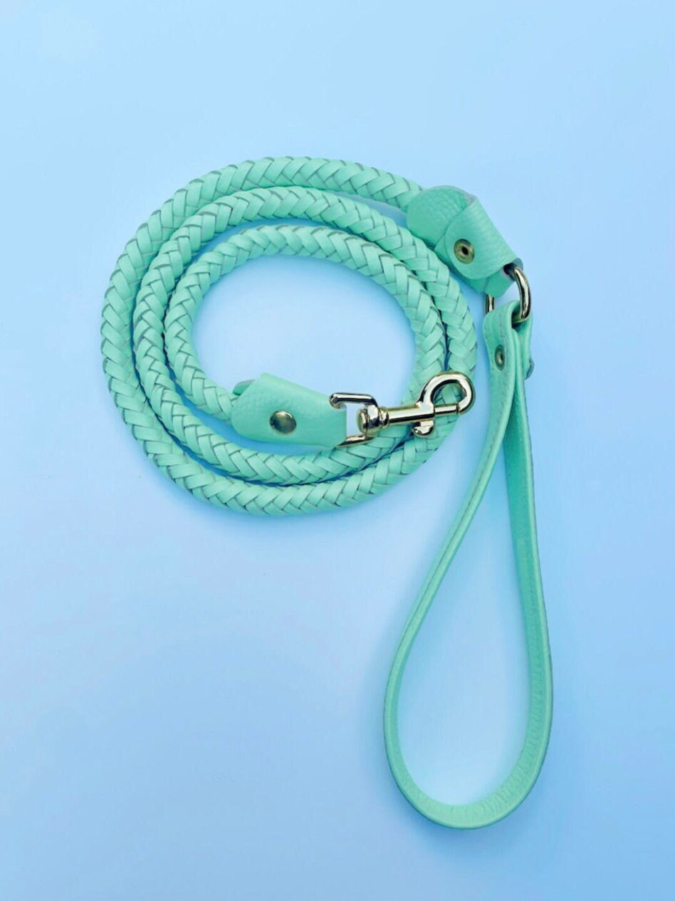 Handmade premium leather braided dog lead with sturdy gold Etsy