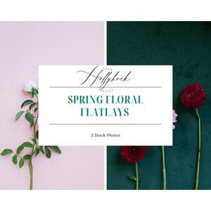Spring Flower Flatlay Stock Photo Bundle | Vertical Instagram Styled Mockup Stock Photos | 3 Hollyhock Stock Blog Branding Images