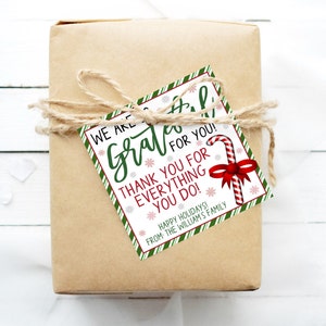 Holiday Appreciation Gift Tag, Editable Christmas Thank You Employee Teacher Nurse Office Staff Employee Co-worker PTA PTO, Christmas Tag