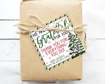 Holiday Thank You Appreciation Gift Tag, Editable Thank You Employee Teacher Nurse Office Staff Employee Co-worker PTA PTO, Christmas Tag