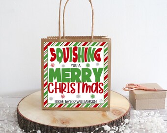 Op de afbeelding: Een bruine papieren cadeauzak met een rood-wit-groen gestreept ontwerp. De zak heeft een wit label met de tekst "SQUEEISHING YOU A MERRY CHRISTMAS" in groene en rode letters. Het label heeft ook de tekst "FROM: TAYLOR WILLIAMSON" in zwarte letters.