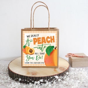 Wertschätzung Geschenkanhänger, Obst Pfirsich, Danke Anerkennung Favor Treat Label, Krankenschwester Mitarbeiter Lehrer Personal Schule PTO PTA Bearbeitbare Vorlage
