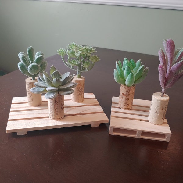 Wine Cork Succulent Etsy