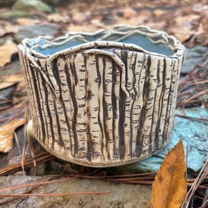 May include: A handcrafted ceramic planter with a birch tree bark design. The exterior features a textured, light beige finish with dark brown vertical lines, mimicking tree bark. The interior is a light blue color. The planter is round and sits on a natural stone surface.