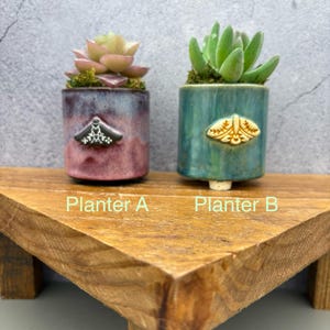 May include: Two small ceramic planters, each with a succulent plant. One planter is a gradient of pink and purple with a silver moth design. The other is teal with a gold moth design. The planters are labeled "Planter A" and "Planter B".