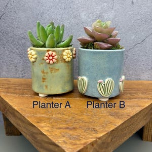 Cactus Flower Mini Porcelain Desktop Planter