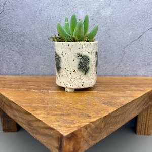 Green Floral Mini Ceramic Desktop Planter