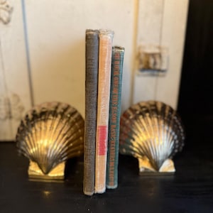 Shiny Brass Shell Bookends