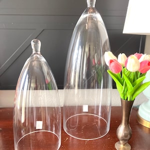 L/XL Glas Cloche-2 Größen