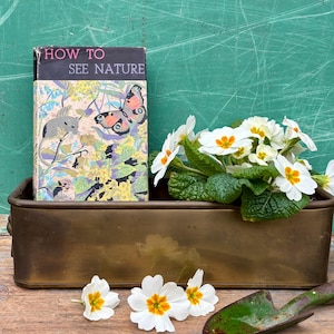 Vintage Brass Trough Planter – Rustic Farmhouse Garden Pot, Herb Window Box, Lions Head Decor