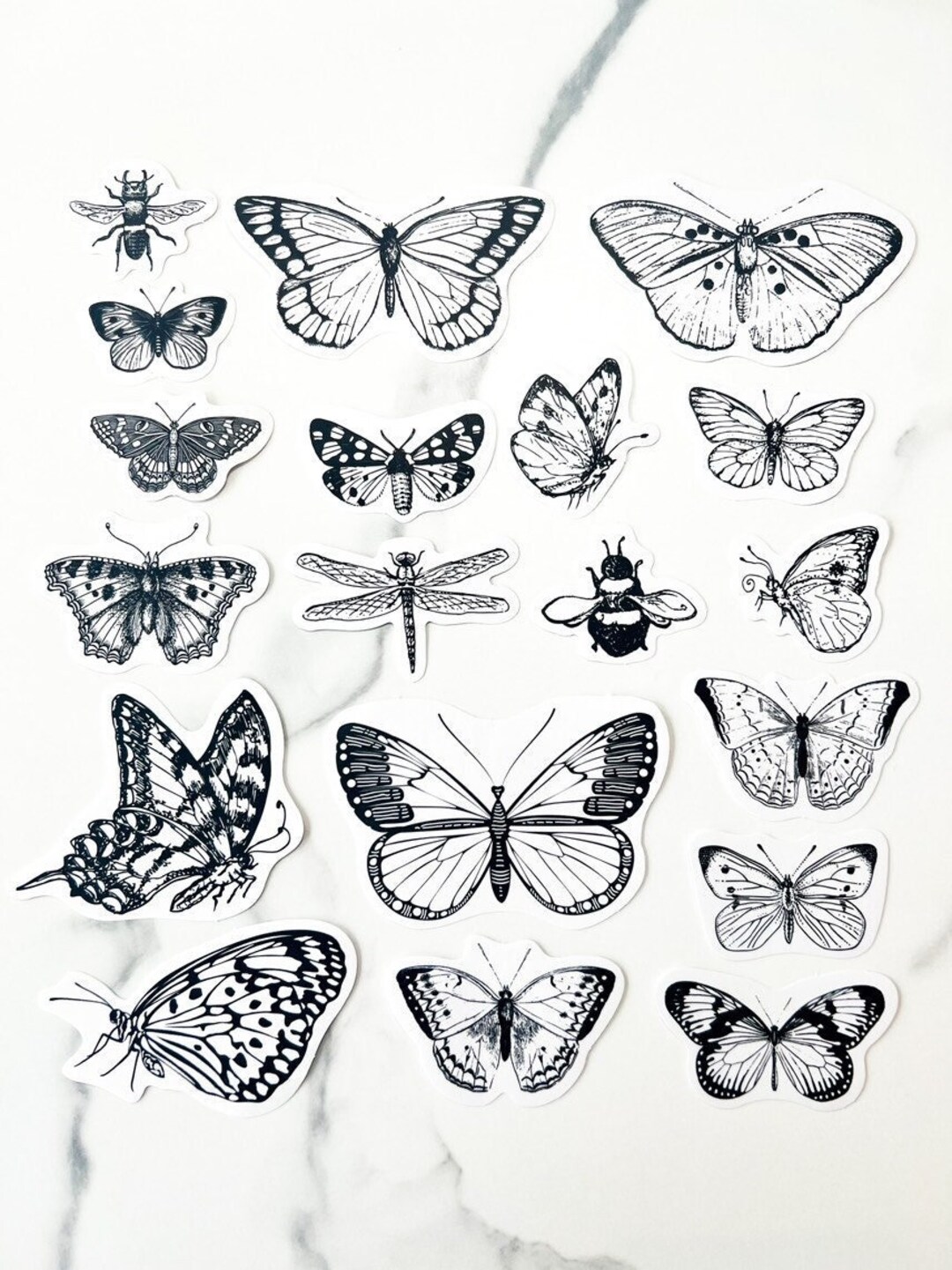 Butterfly Stickers insect Stickers entomophile Stickers Etsy