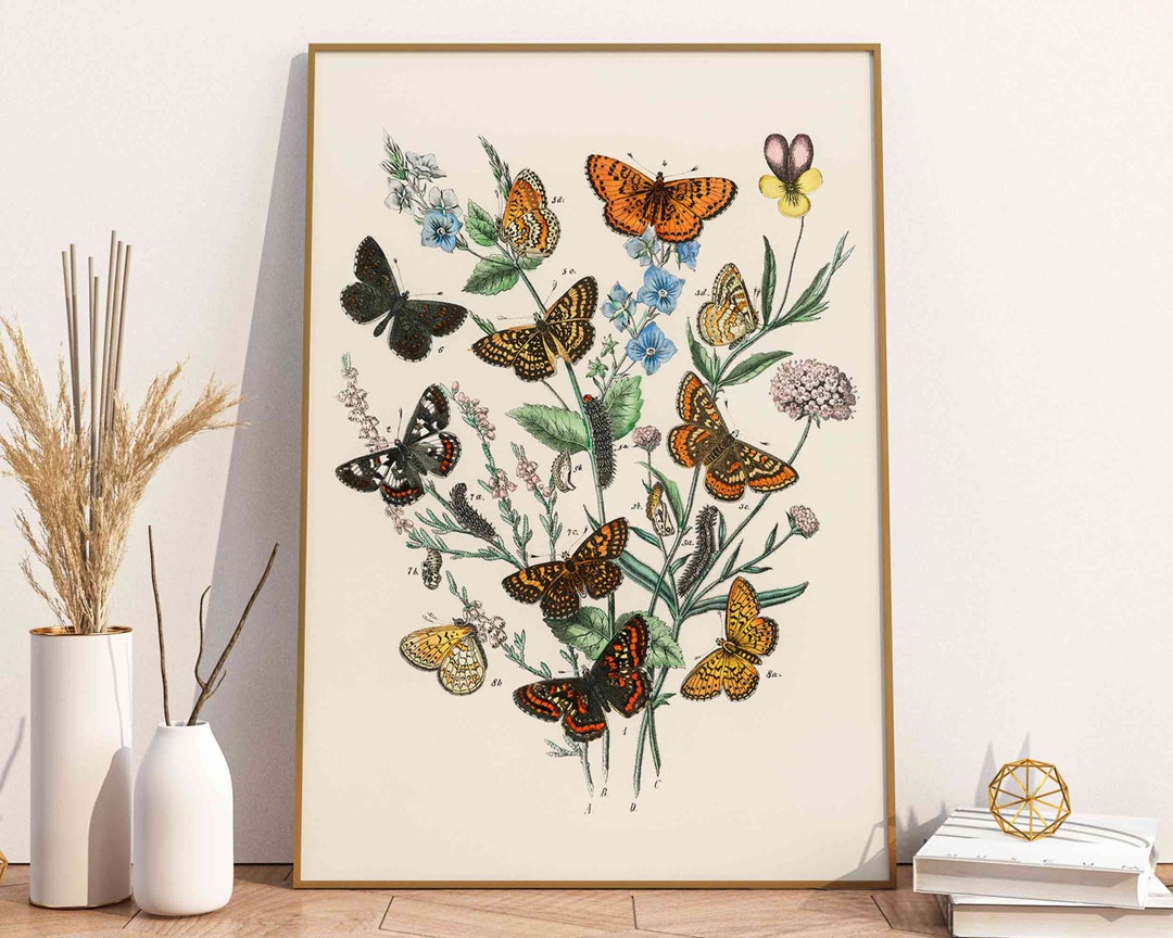 Butterfly Wall Art Print Downloadable Prints Butterfly - Etsy