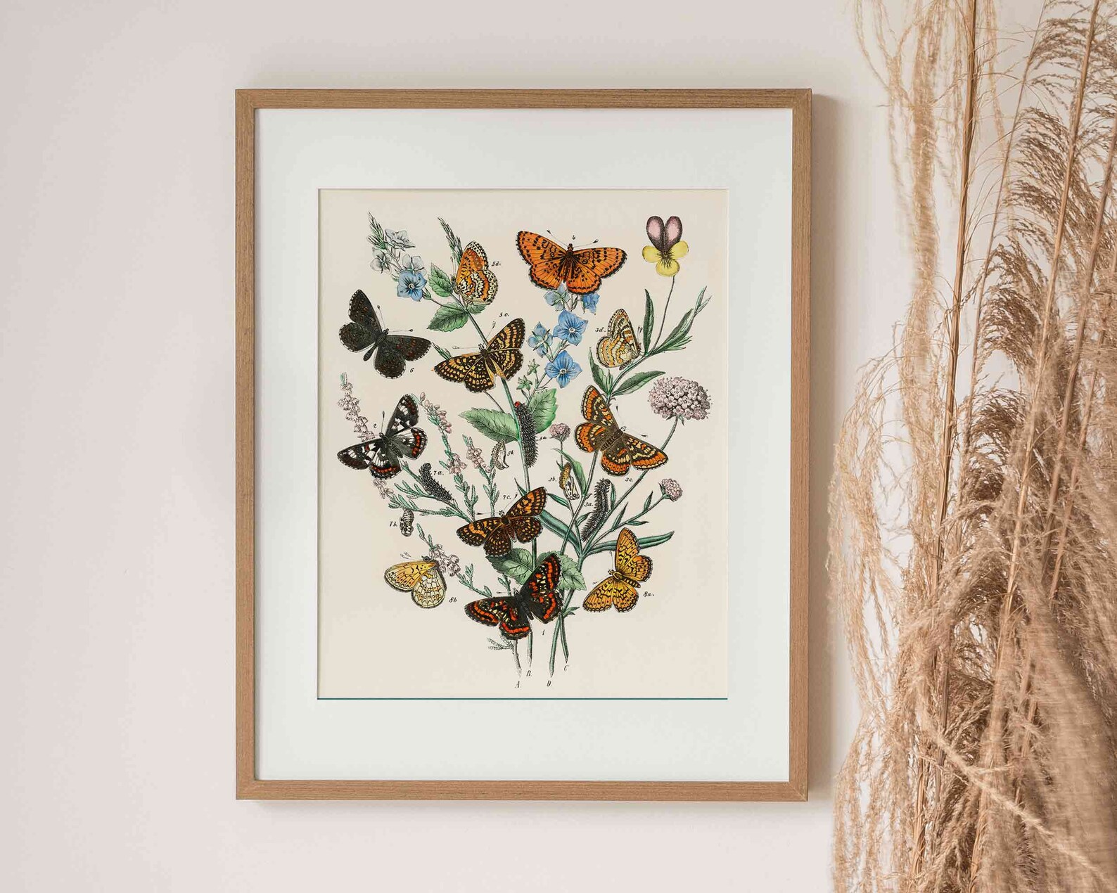 Butterfly Wall Art Print Downloadable Prints Butterfly Etsy