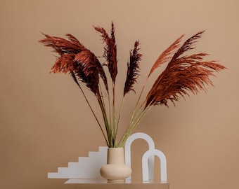 Grama de Pampas Japonesa Susuki - Laranja Queimada
